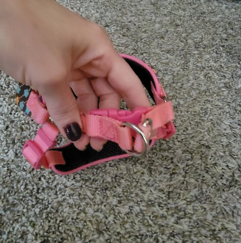 Pink and Brown Floral Small Dog Harness